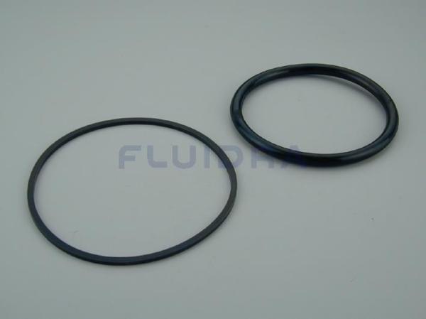 4403010602 Junta aro proyector Astralpool