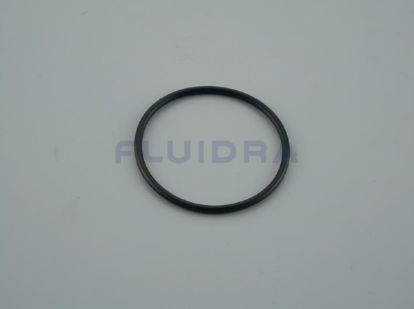 4403011406 Junta torica proyector Astralpool