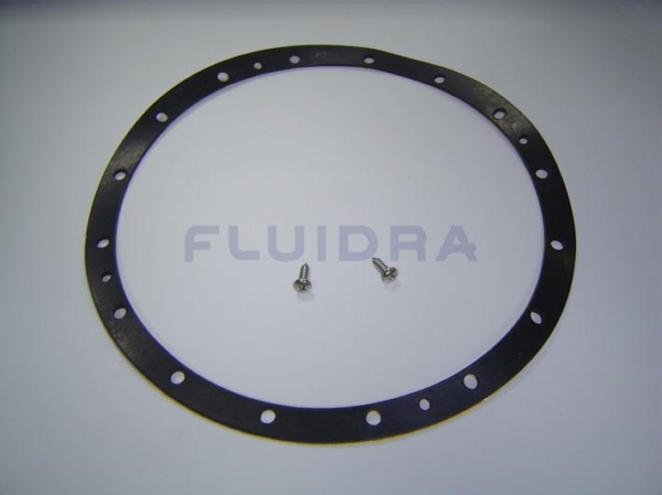 4403012412 Junta adhesiva proyector