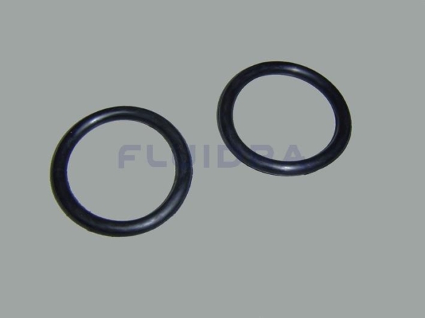 4404040115 Junta torica D. 63x8 Astralpool