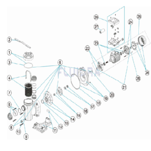 bomba sena astralpool fluidra recambio miguel cabello elena