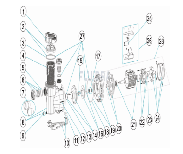 recambio-bomba-victoria-astralpool-fluidra- miguel cabello elena- piscina